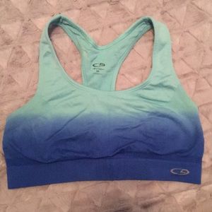 Blue Ombré Champion Sports Bra